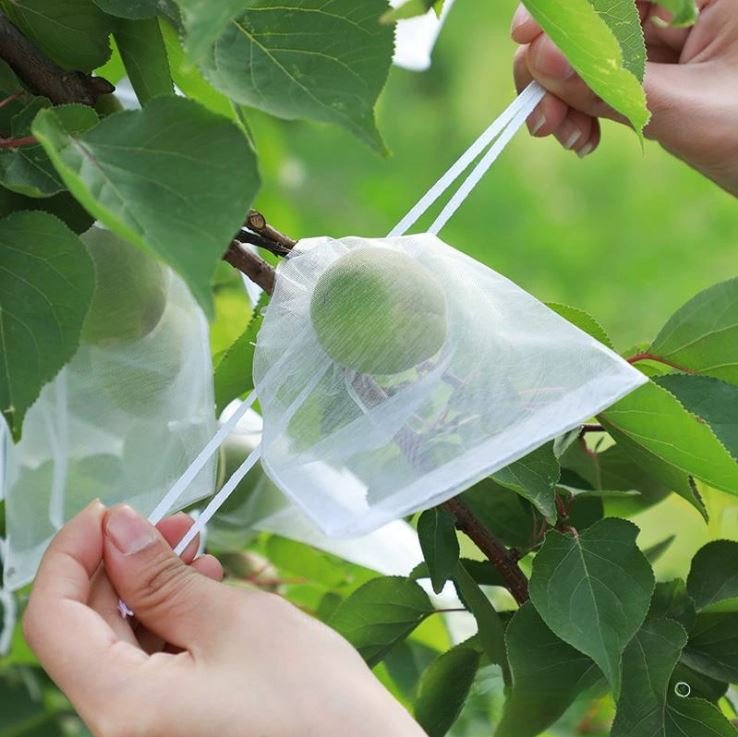 50 PCs । Reusable Fruit Protection Nylon Net Bag (15x20 cm) । CN-42 - Image 3