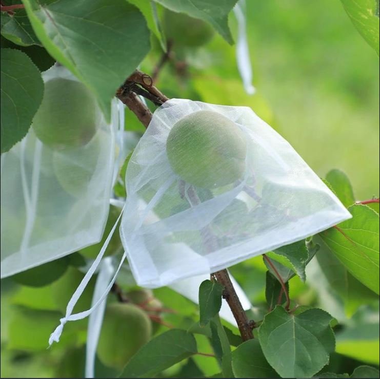 50 PCs । Reusable Fruit Protection Nylon Net Bag (15x20 cm) । CN-42 - Image 4