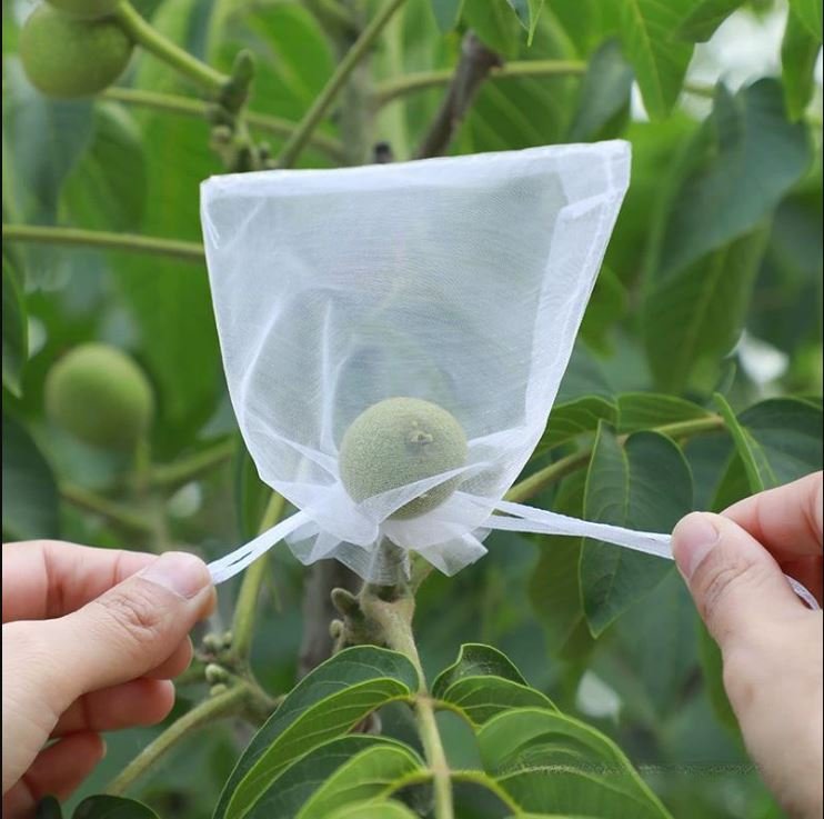 50 PCs । Reusable Fruit Protection Nylon Net Bag (15x20 cm) । CN-42 - Image 2