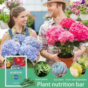 Plant Growth Fertilizers Stick for Indoor & Outdoor Gardening (1 Box) । CN-105